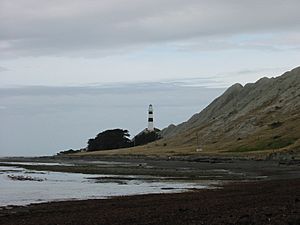 CapeCampbell NZ.jpg