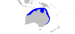 Carcharhinus tilsoni distmap.png