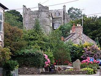 Castell Drefdraeth-Newport castle in summertime - geograph.org.uk - 516303.jpg