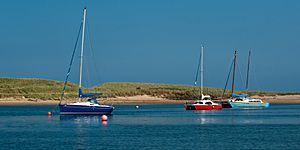 Coquet estuary 1