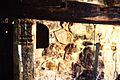 Cottage interior, Ryedale Folk Museum