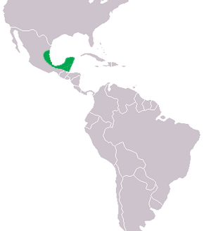 Crocodylus moreletti Distribution.png