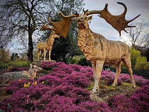 Crystal Palace Megaloceros giganteus