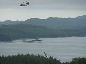 Dall Island Heli