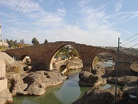 Delal Bridge in Zakho (201)