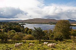 Gartan Lough 2012 09 19.jpg