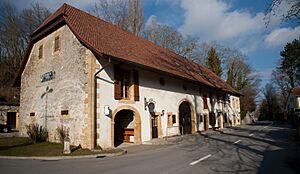 Guévaux - cave à vin