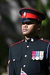 Johnson Beharry, VC