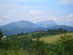 In the hills south of Leintz Gatzaga