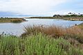 Malibu Lagoon State Beach 2019 2.jpg