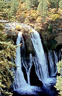 McArthurBurneyFallsStatePark