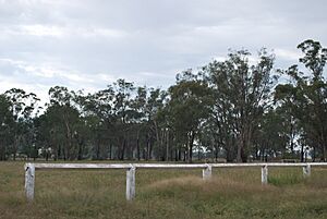 MilbrulongFootballGround