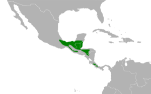 Odontophorus guttatus map.svg