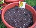 Potting soil