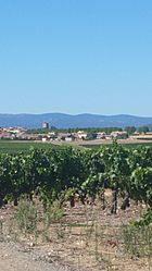 A general view of Sainte-Valière