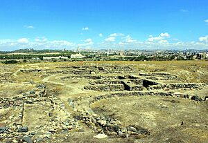 Shengavit Settlement 2