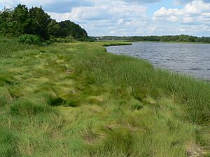 Slocum's River Reserve P1140026