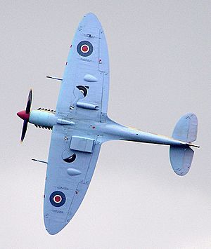 Spitfire.planform.arp