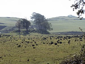 Stable Isle, Loch Fergus, Kirkcudbright