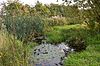 Stotfold Mill Meadows