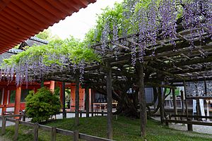 Sunazuri-no-Fuji 20140503 03