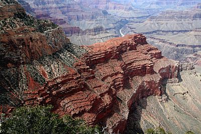 The Alligator, Grand Canyon