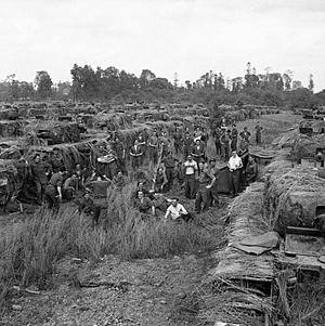 The British Army in Normandy 1944 B7078