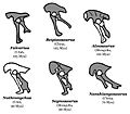 Therizinosauria hips variation