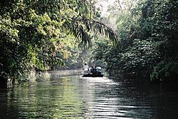 Tortuguero boat trip