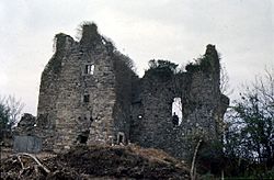 Tully Castle