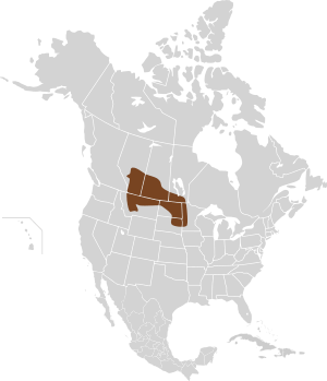 Urocitellus richardsonii map.svg