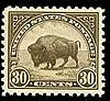 American buffalo