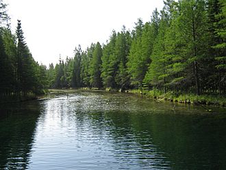 View at Kitch-iti-kipi Spring.jpg