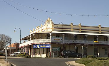 Wellington NSW 2820, Australia - panoramio (1).jpg