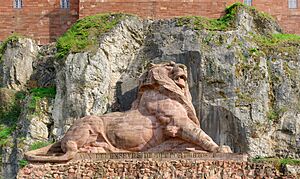 2014-09-15 16-14-55 lion-belfort