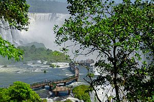 A Passarela das cataratas