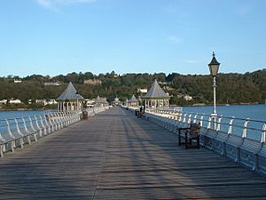 Bangor Pier - geograph.org.uk - 1287040.jpg