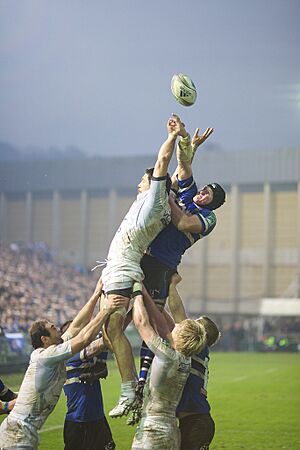 Bath Montpellier Rugby