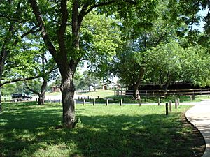 Berry springs park 1.JPG