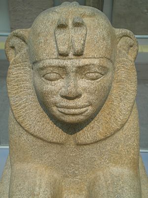 Bm taharqa