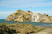 Castlepoint lighthouse from the beach