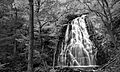 Crabtree Falls 1