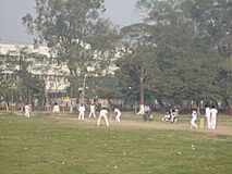 Cricket (2305682483)