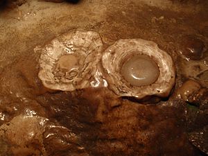 Fried Eggs - Luray Caverns