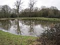 Fryent Country Park Barn Hill Pond