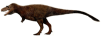 Gorgosaurus.png