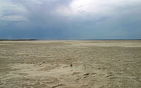 Grulla Salt Lake 2009.jpg