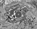 Haiyan 2013-11-07 1430Z IR-BD lineless