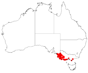 Hakea repullulansDistMap118.png