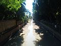 Hawthorne canal - Leichhardt Sydney. 2022